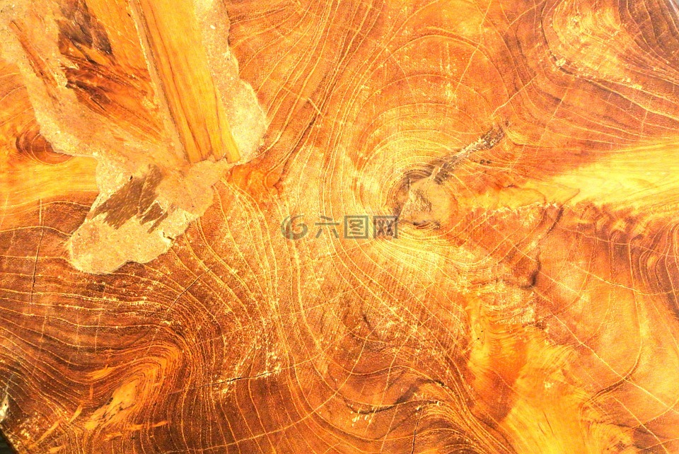 木,背景,結構