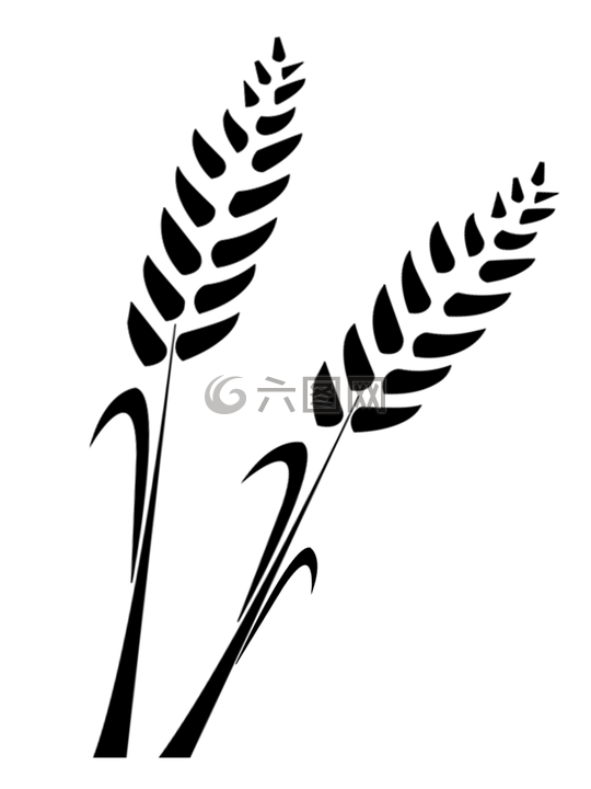 小麥,剪影,繪圖
