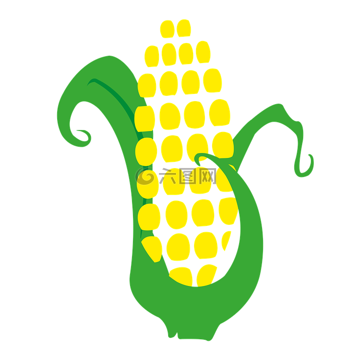 玉米,cob,收獲
