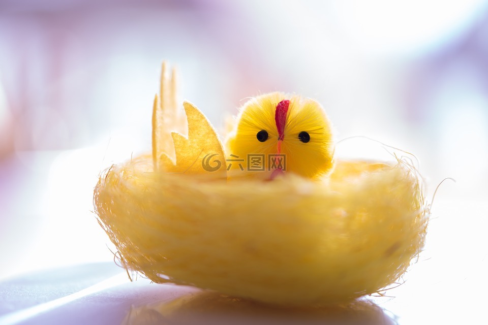黃色,小雞,裝飾