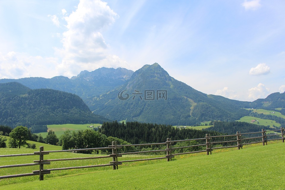 山,高山,牧場