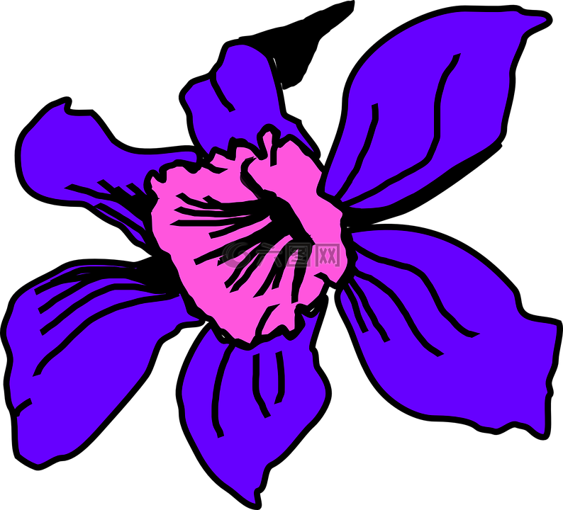 花瓣,盛開,花
