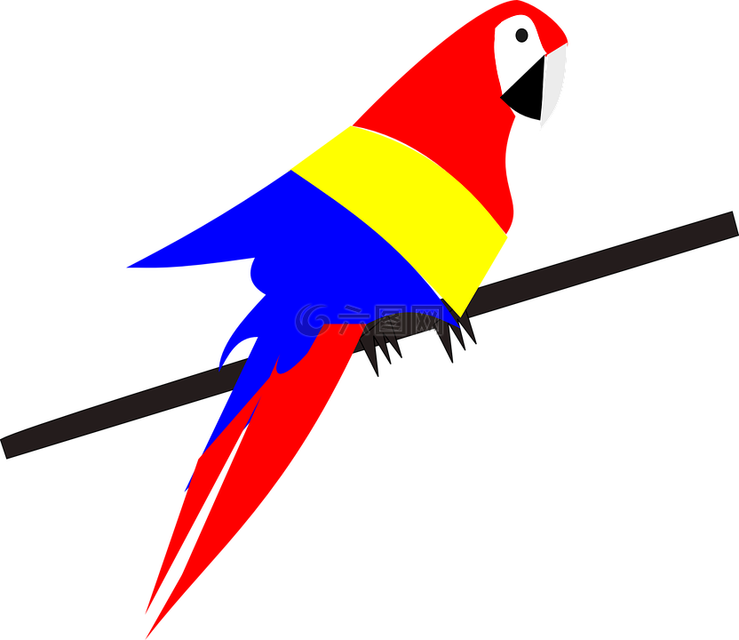 鸚鵡,鳥,異國情調(diào)