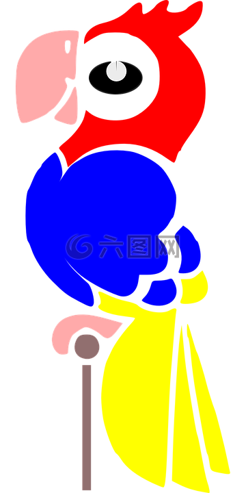 鹦鹉,鸟,异国情调