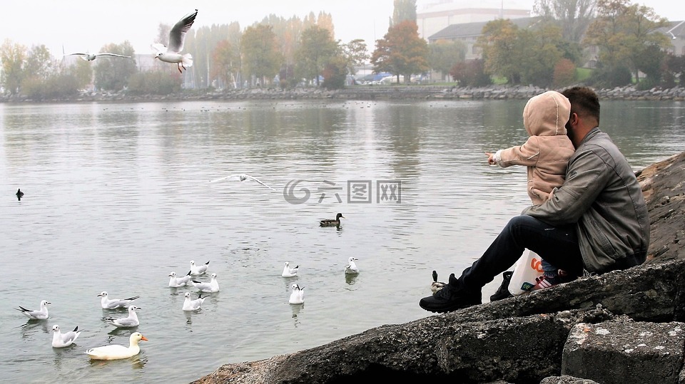 父亲,婴儿,岩