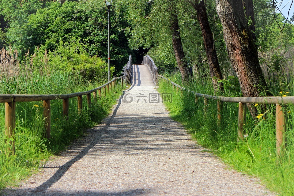步行,離,橋