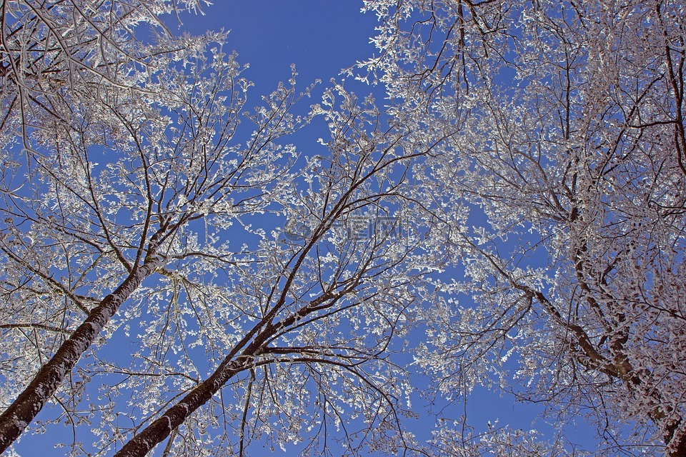 天空,雪,審美