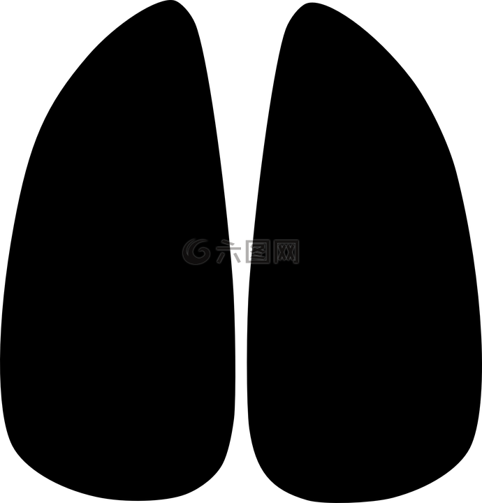 腳印,豬,爪子
