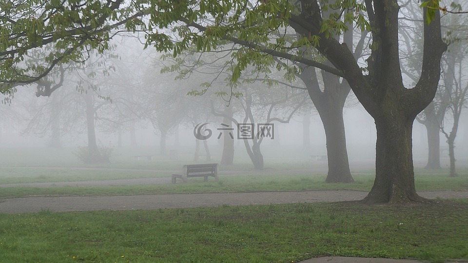 景觀,視圖,性質(zhì)