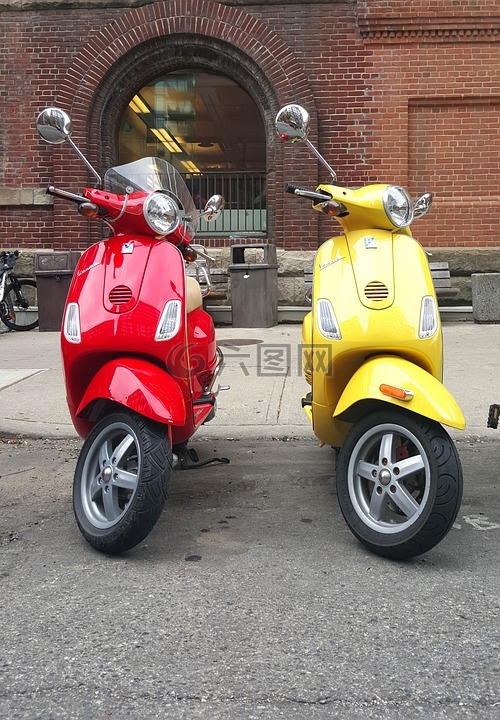 黑盾胡蜂,滑板車,摩托車