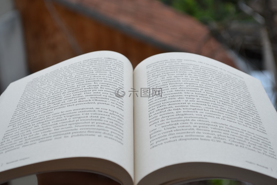 書(shū),單詞,文本