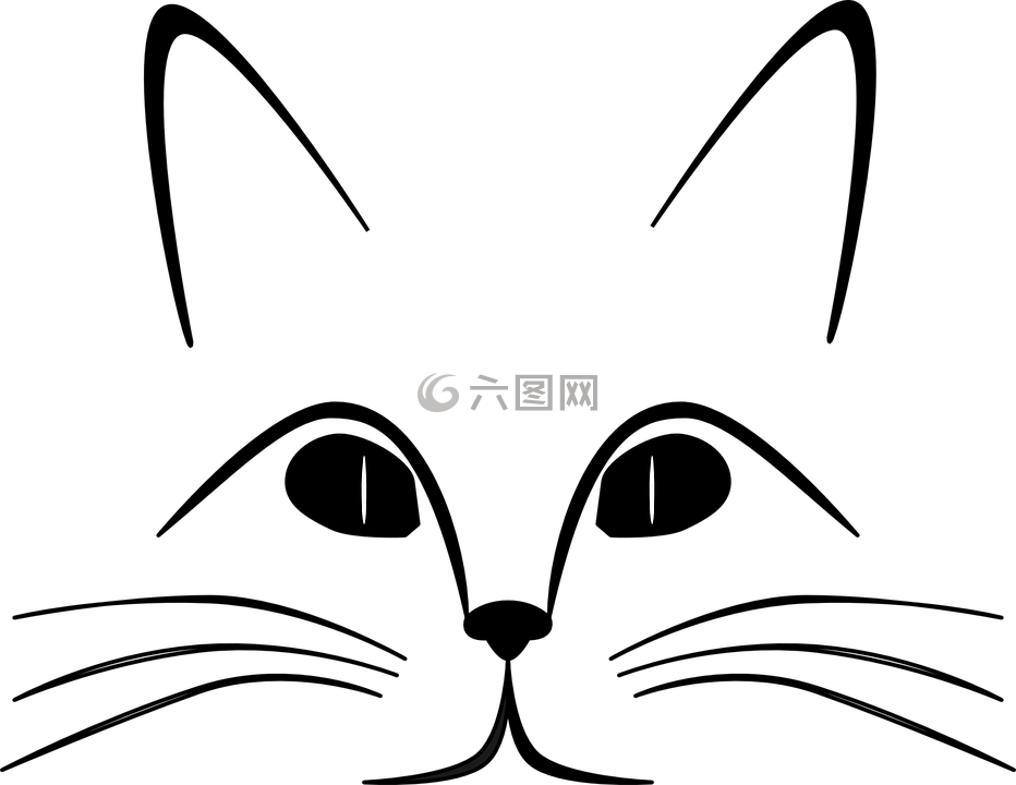 貓,耳朵,眼睛