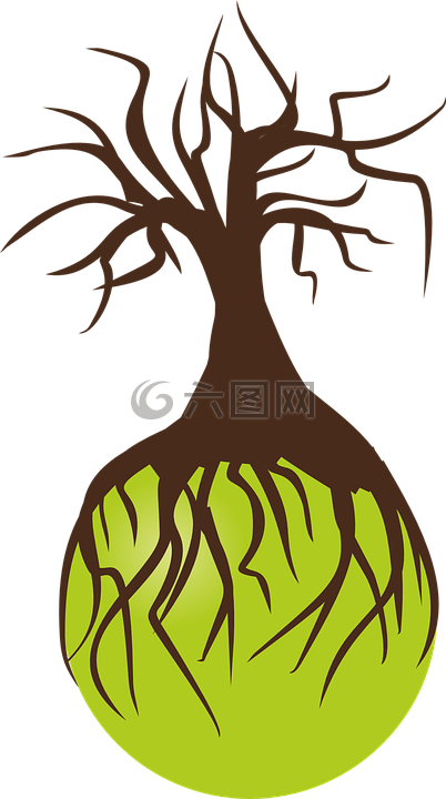 樹(shù),樺木,景觀