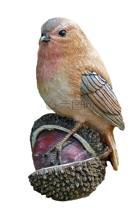 鳥(niǎo),板栗,性質(zhì)