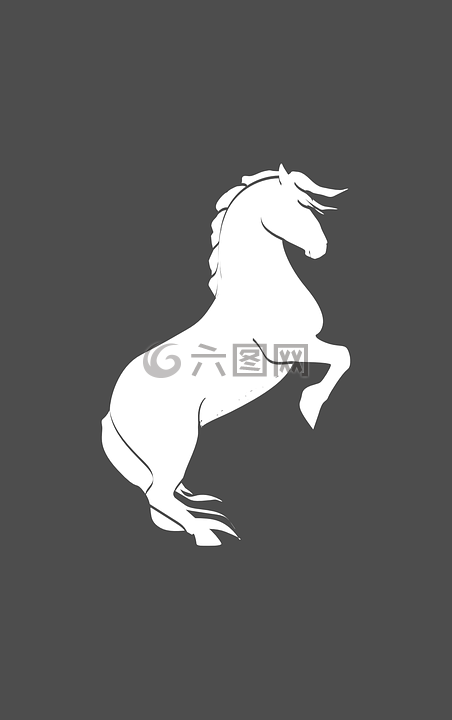 馬,白,簡(jiǎn)單