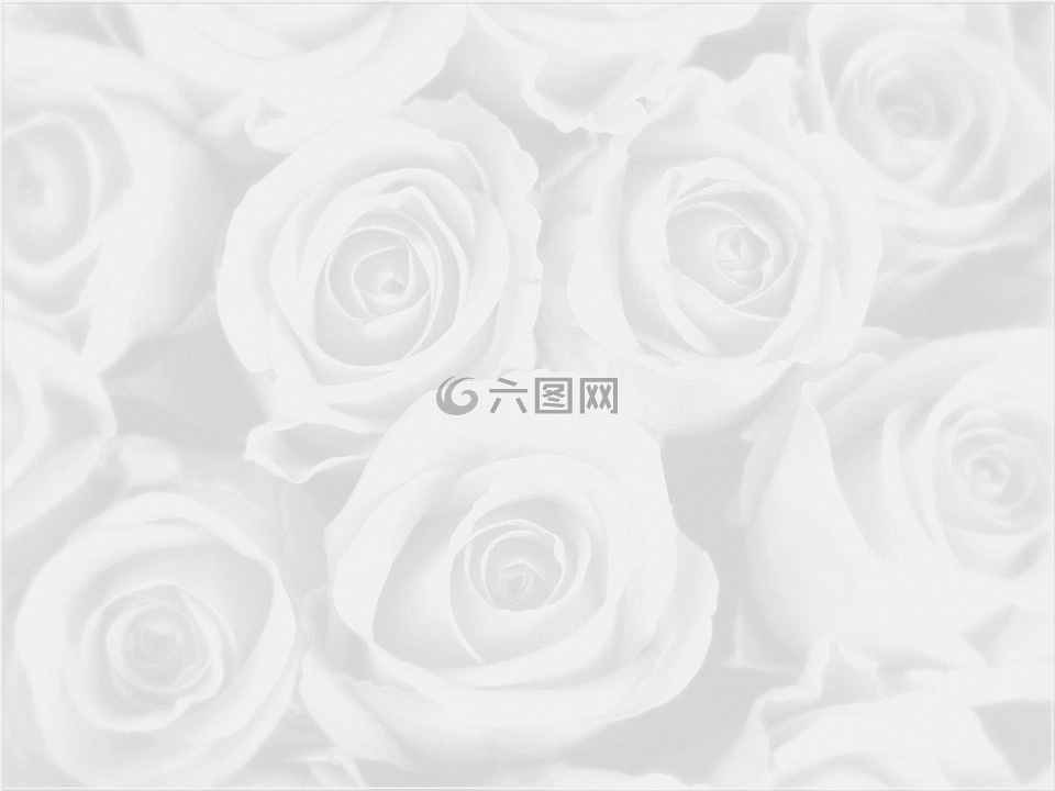 背景,紙,幻想