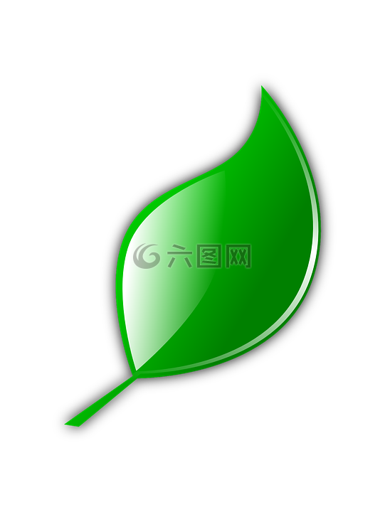 葉,綠色,自然