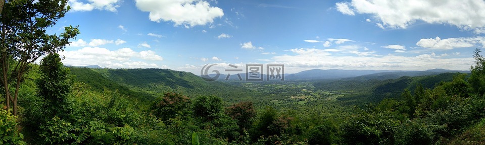 植物,查看,山