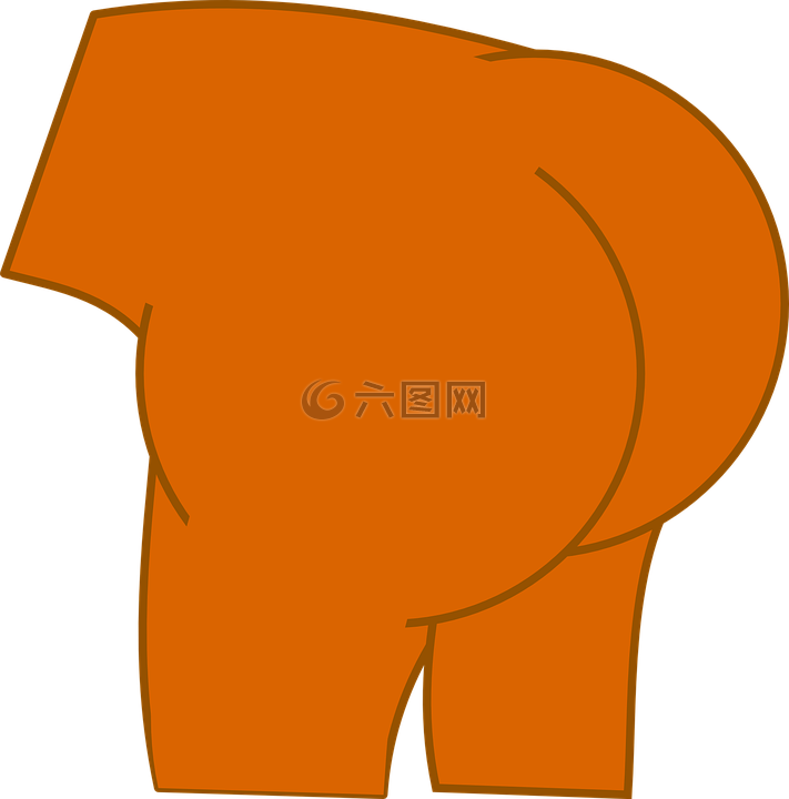 解剖,屁股,裸