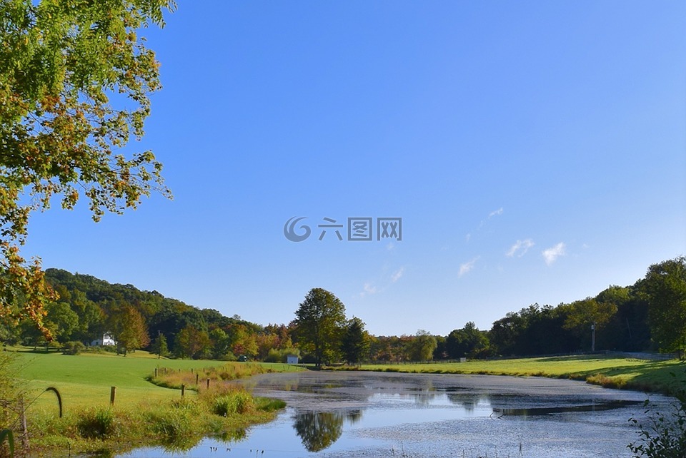 池,水,景觀