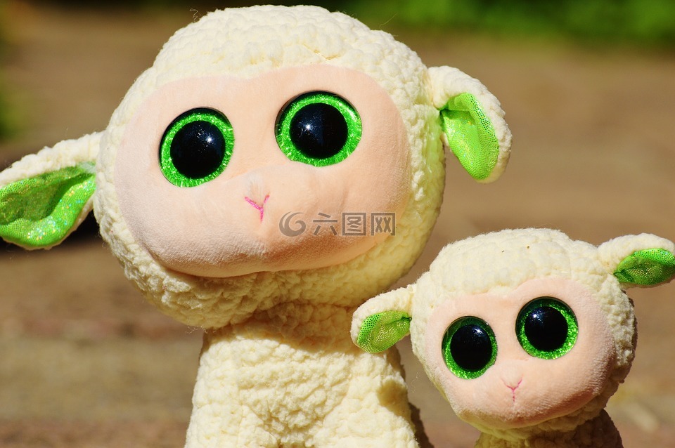 羊,sch?fchen,動物