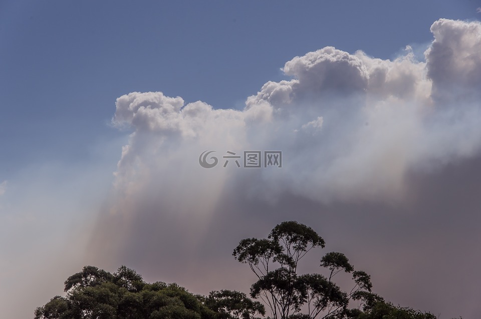 煙,云,灌木林火
