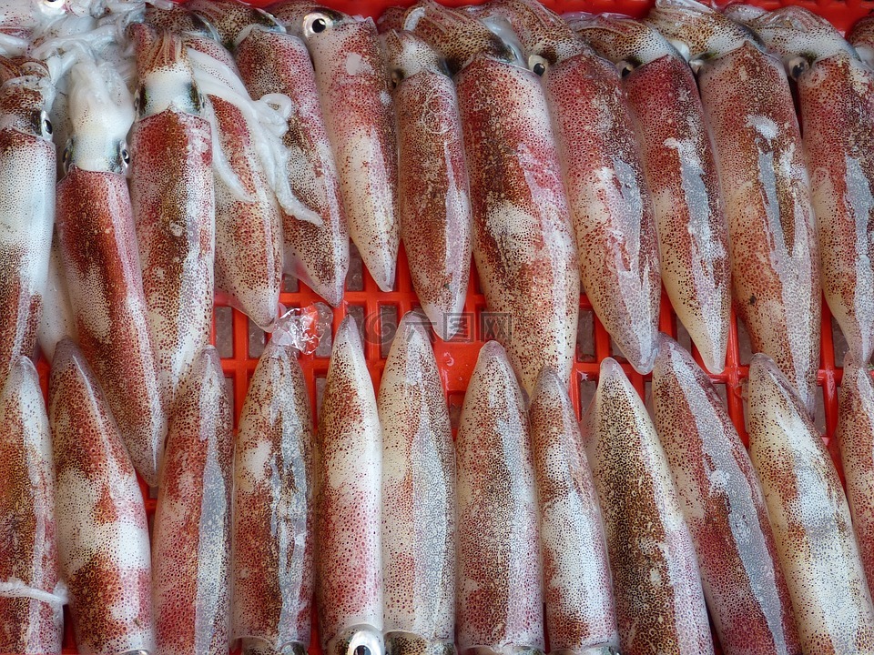魷魚(yú),八達(dá)通,海鮮