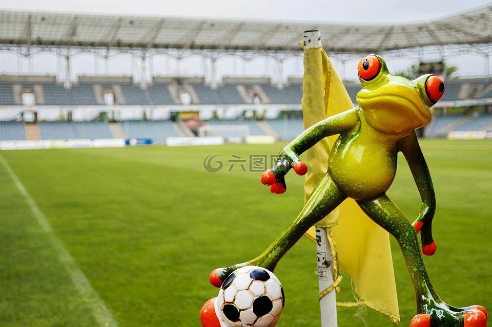 青蛙,足球,滑稽