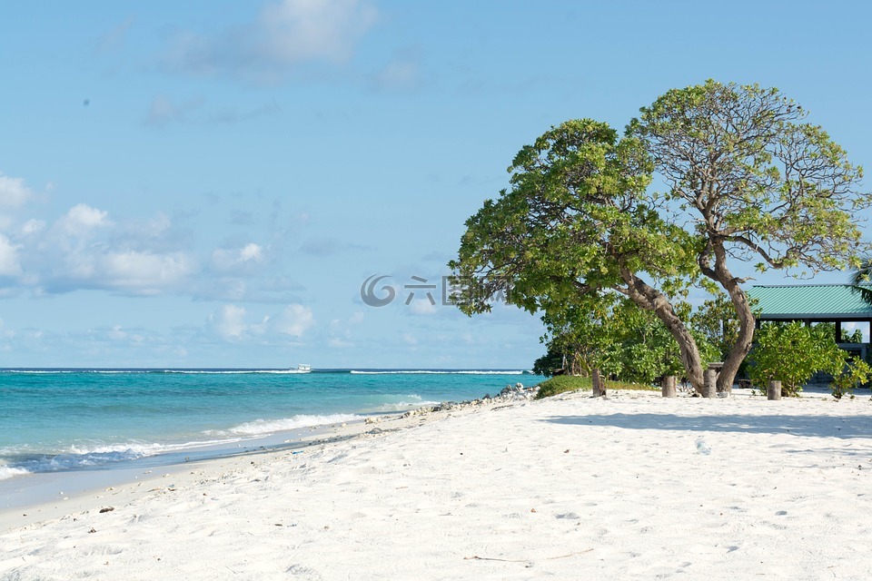 海滩,dharavandhoo,baa
