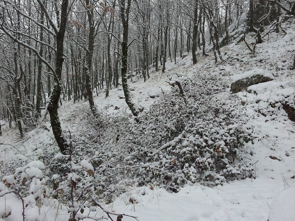 景觀(guān),冬天,雪