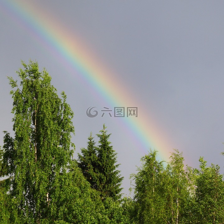彩虹,自然現(xiàn)象,光的折射