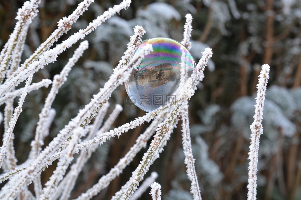 冬天,雪,霜