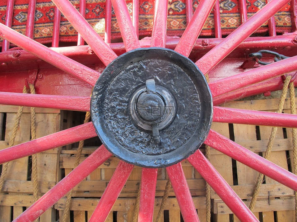 卡車,車輪,山羊