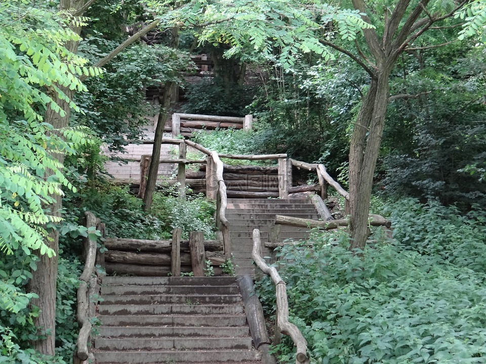 樓梯,森林,性質(zhì)