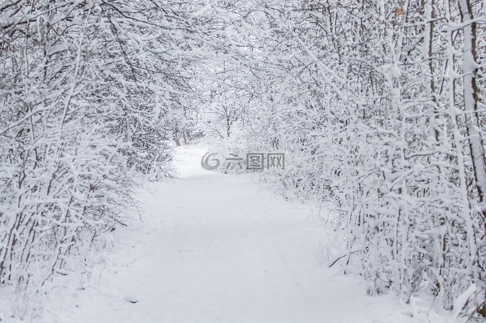 冬天,萨克森,性质
