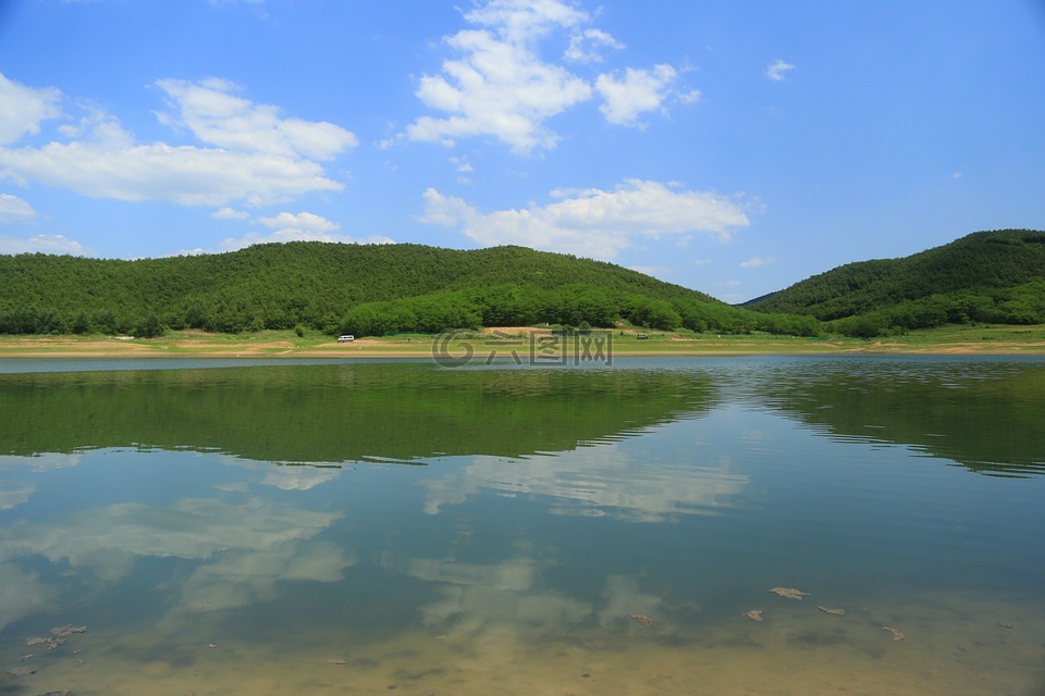 自然,戶外,夏天