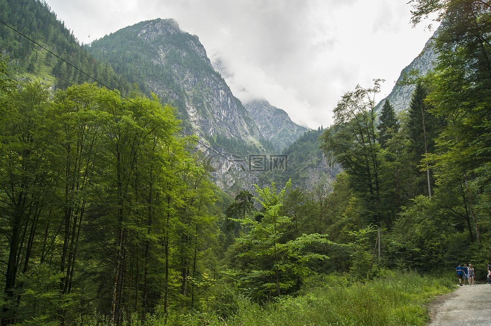 山景觀,徒步旅行,景觀