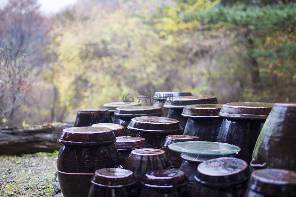 jar,秋季,存储