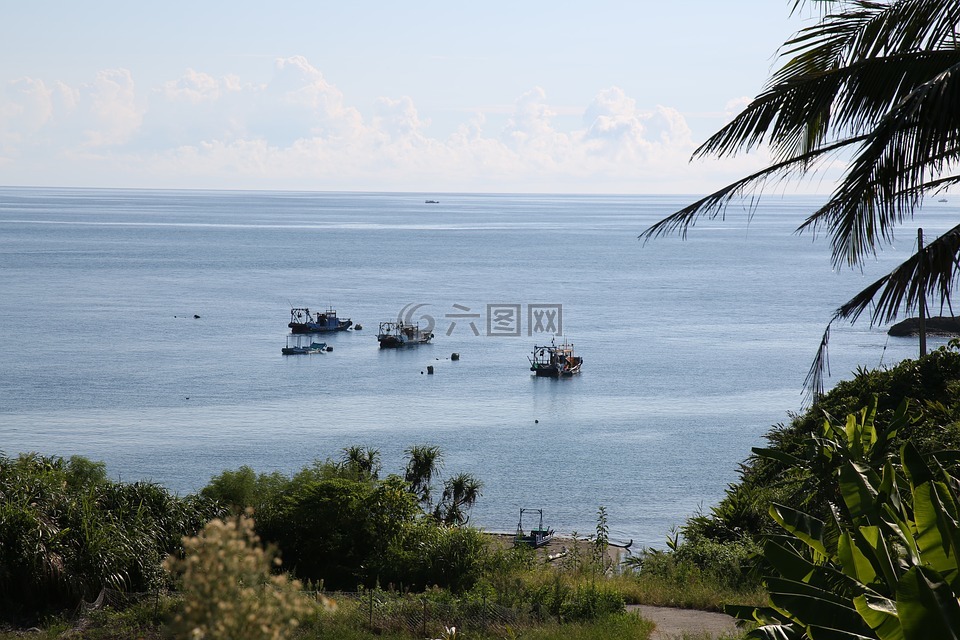 水,海,太平洋
