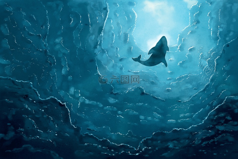 鯨魚,海,海洋