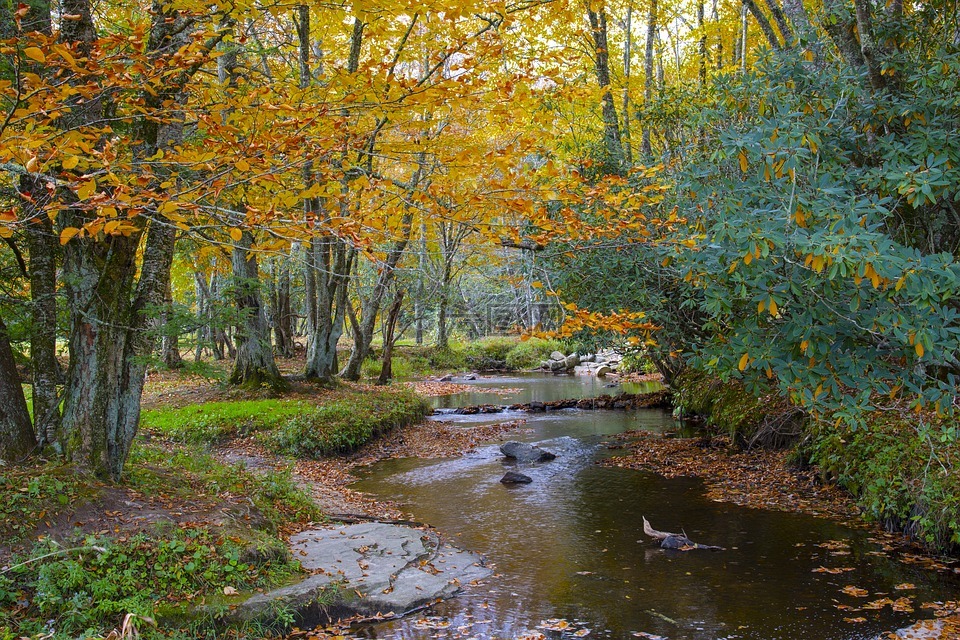 景觀,和平,風(fēng)景