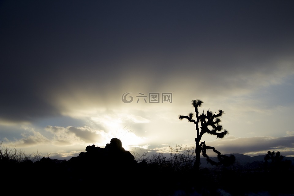日落,景觀,山