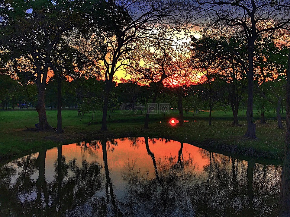 日落,我的火車公園,沼澤
