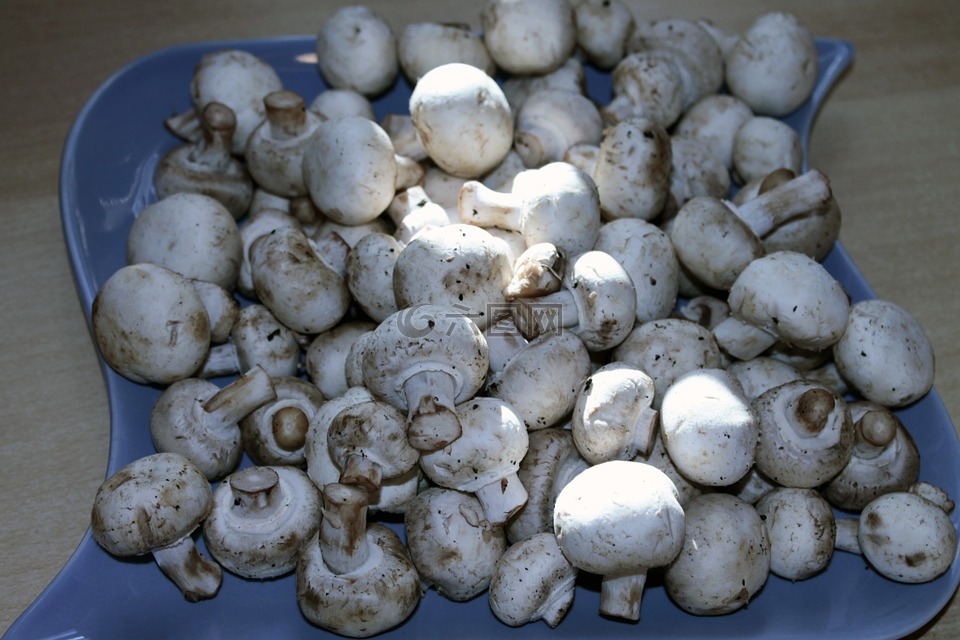 蘑菇白成分