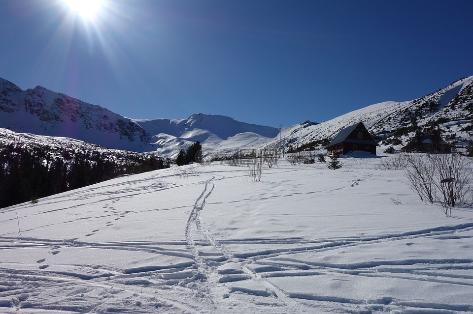 雪,冬季,山