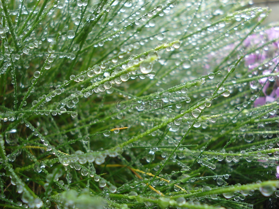 廠,性質(zhì),環(huán)境