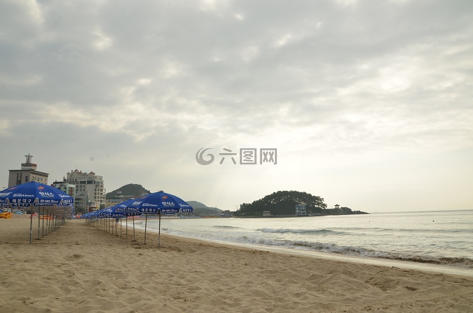 海,海灘,夏天