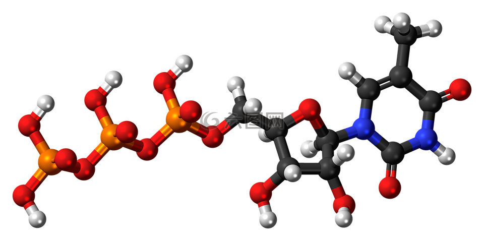 methyluridine 三磷酸,核苷酸,分子