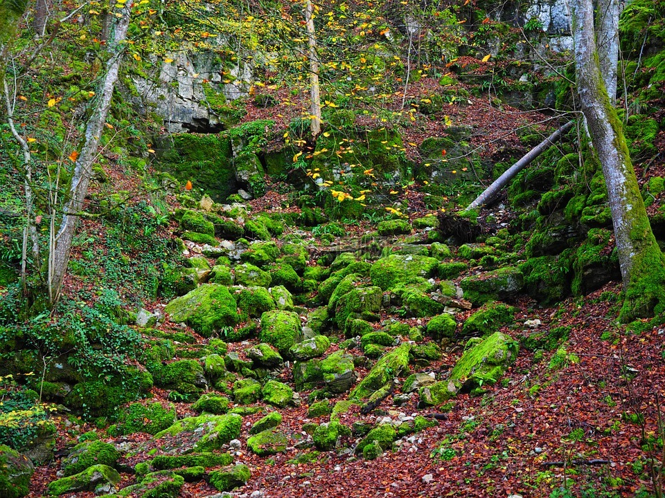 斜坡,waldhang,石头