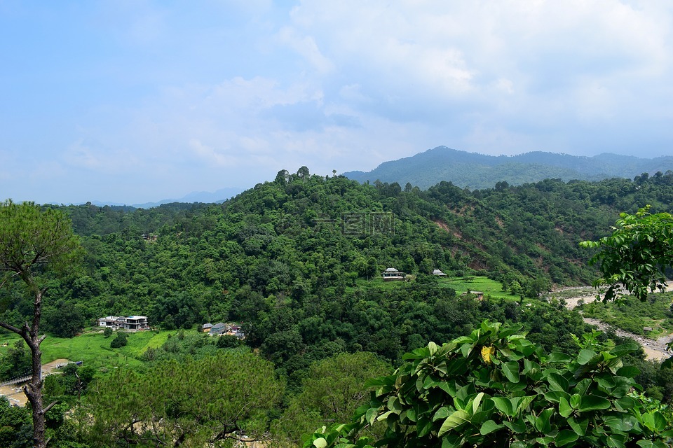 小山,绿色,景观